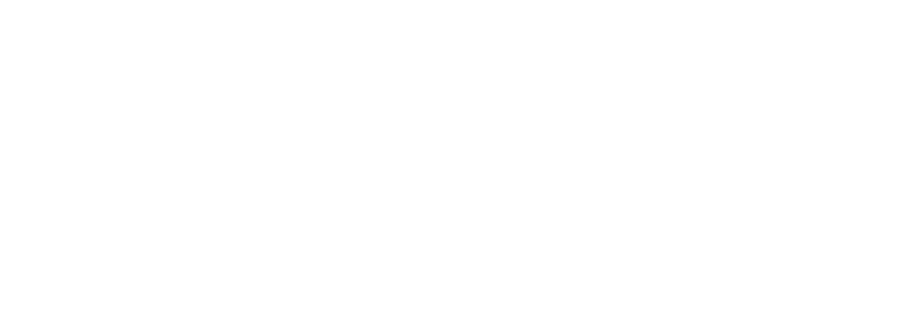 Janus International Logo