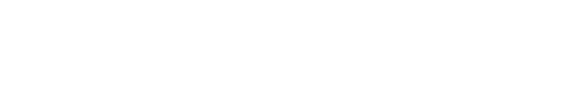 storelocal logo