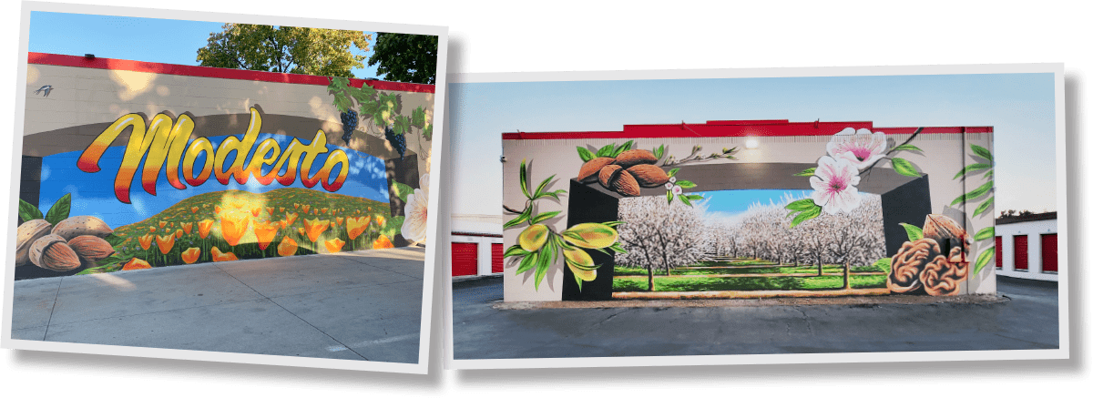 one mural of a Modesto poppy field and another mural of a tree orchid with flowers and various nuts in the foreground