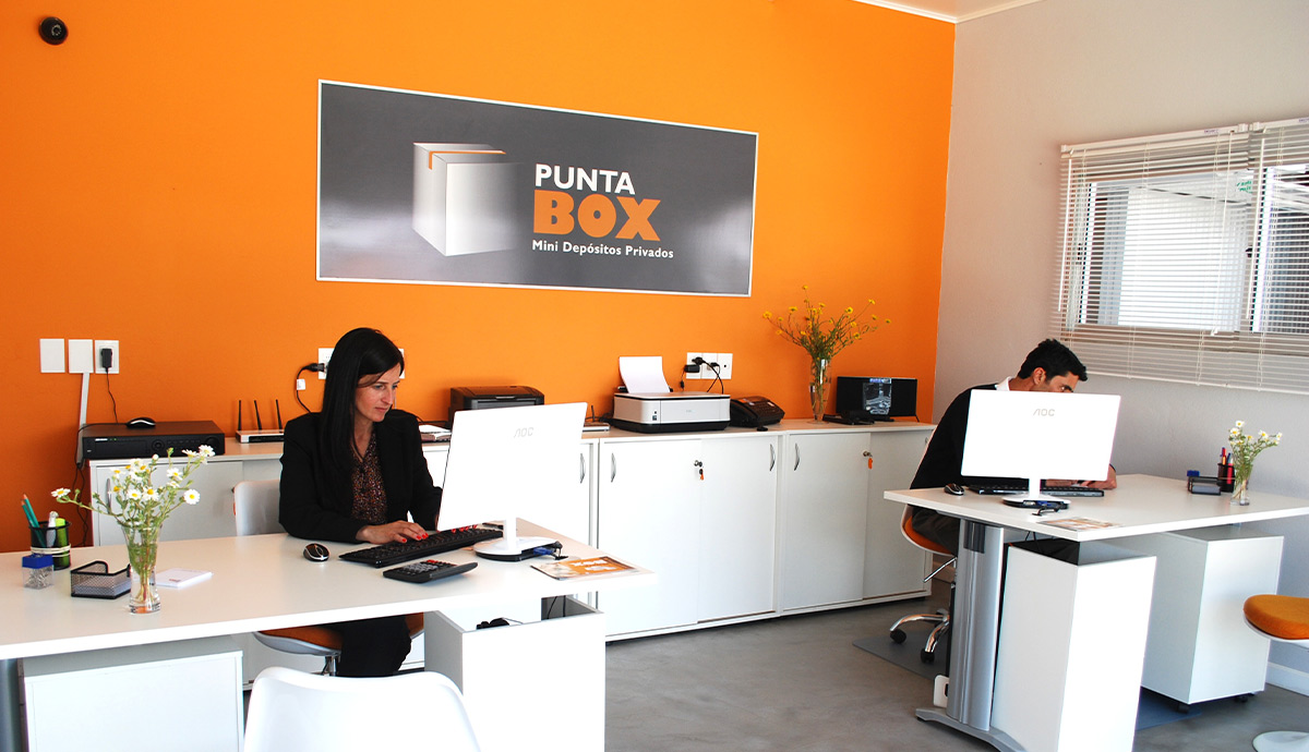 a woman and a man dressed in business casual each sit at white desks with computers in a Punta Box work room