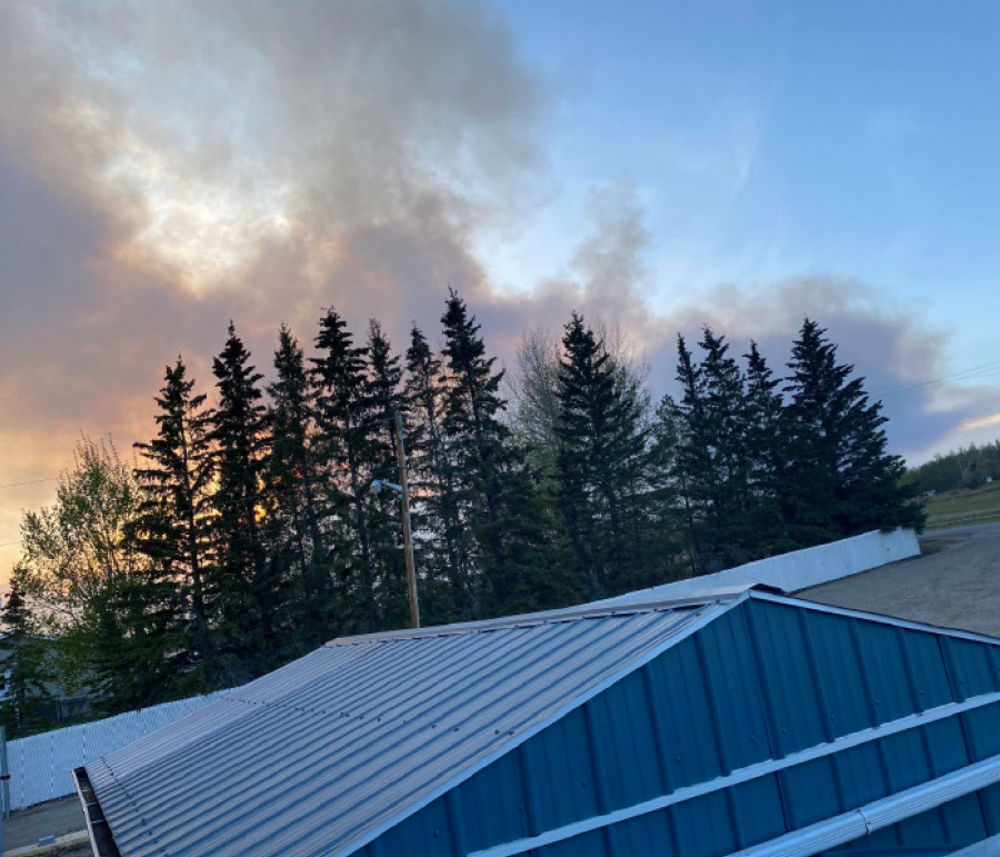 smoke coming out from behind pine trees