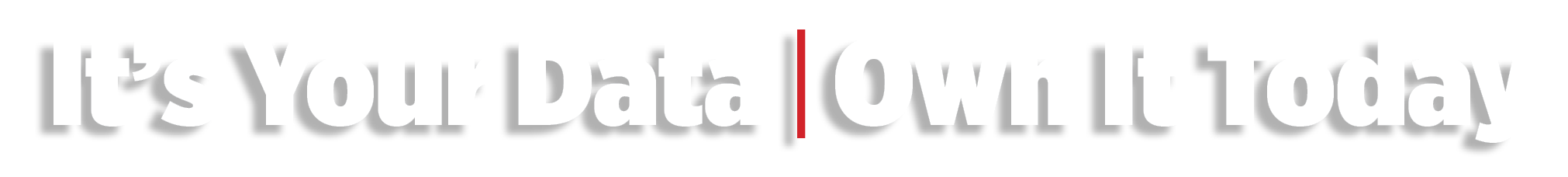 The phrase "It's Your Data, Own It Today" in bold black text with a red vertical line separating "Data" and "Own," displayed on a white background.