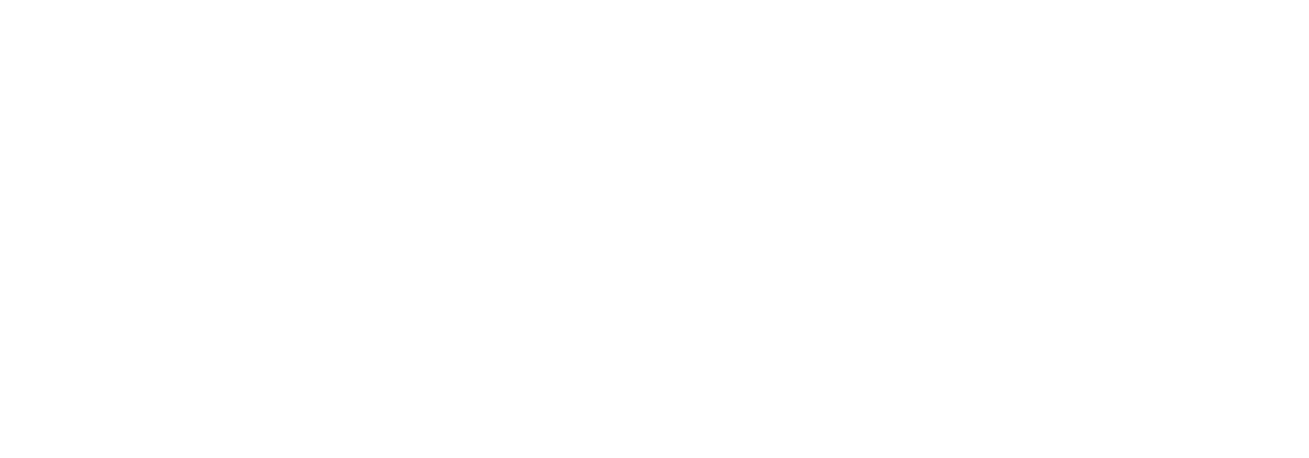 Janus International logo