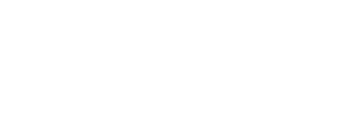 Janus International logo