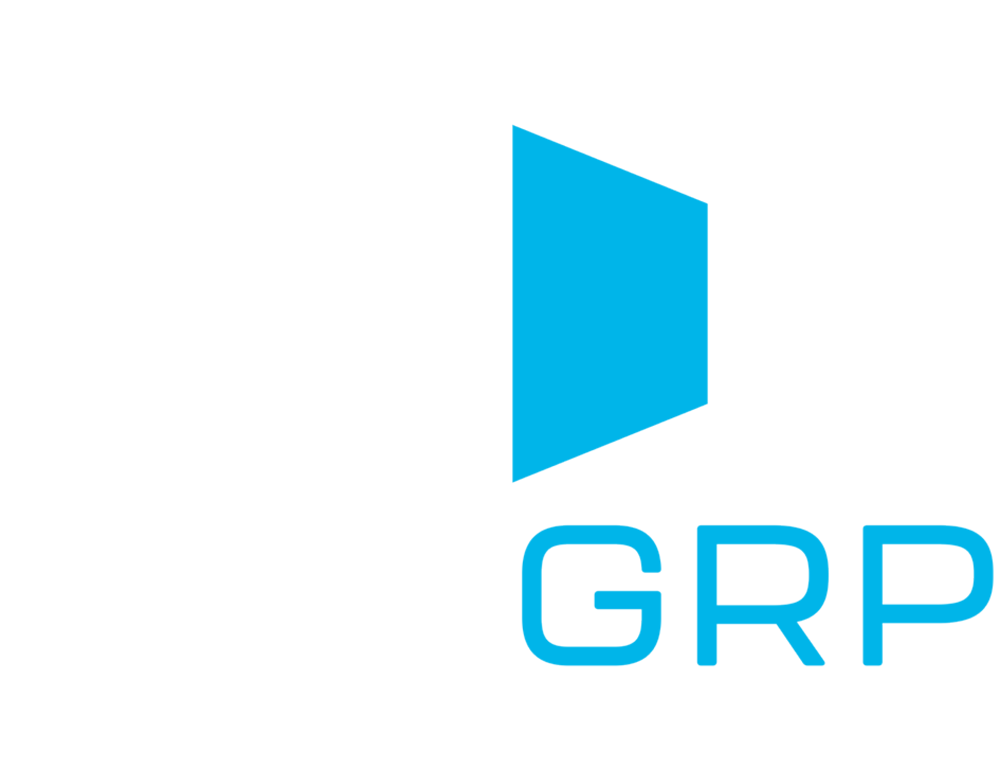 bmsgrp self storage consulting logo