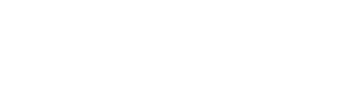 storelocal logo