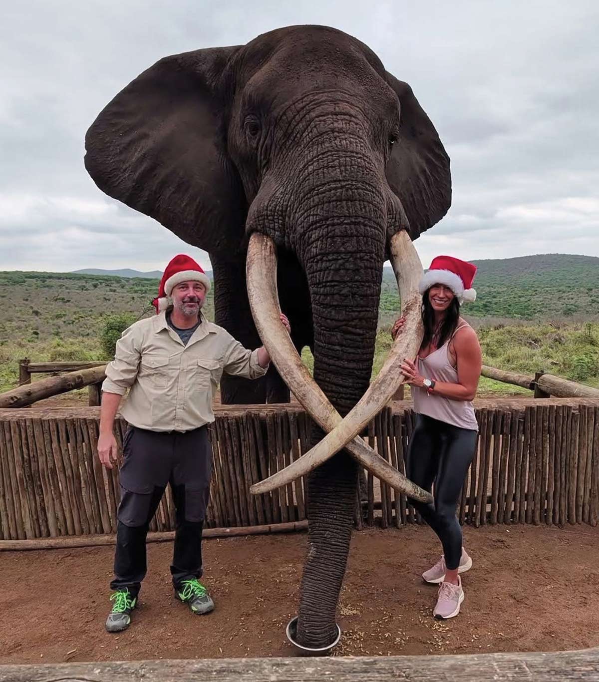 Renee and Matt Tulve smile posing with an African elephant during an African safari as they are holding the African elephant's tusks
