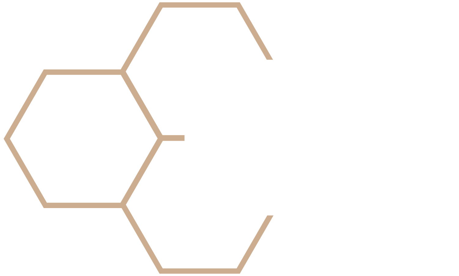DXD Capital Logo
