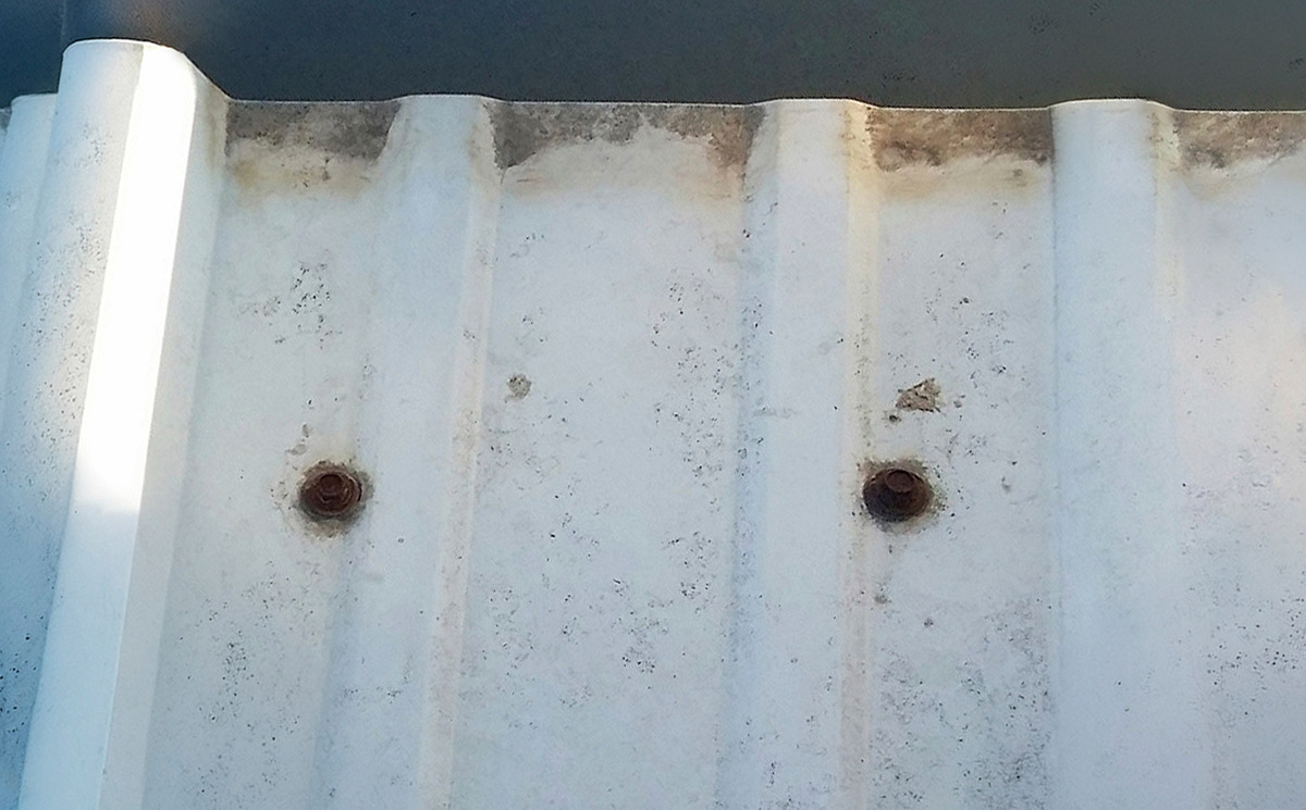 Close-up of two heavily rusted screws secured into a white corrugated metal roof panel.