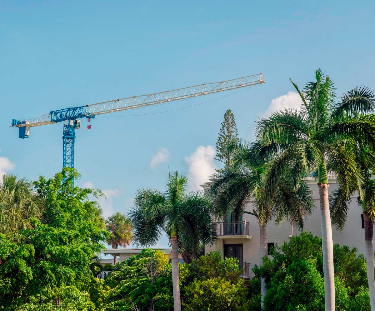 A blue construction crane towering above palm trees and a building.